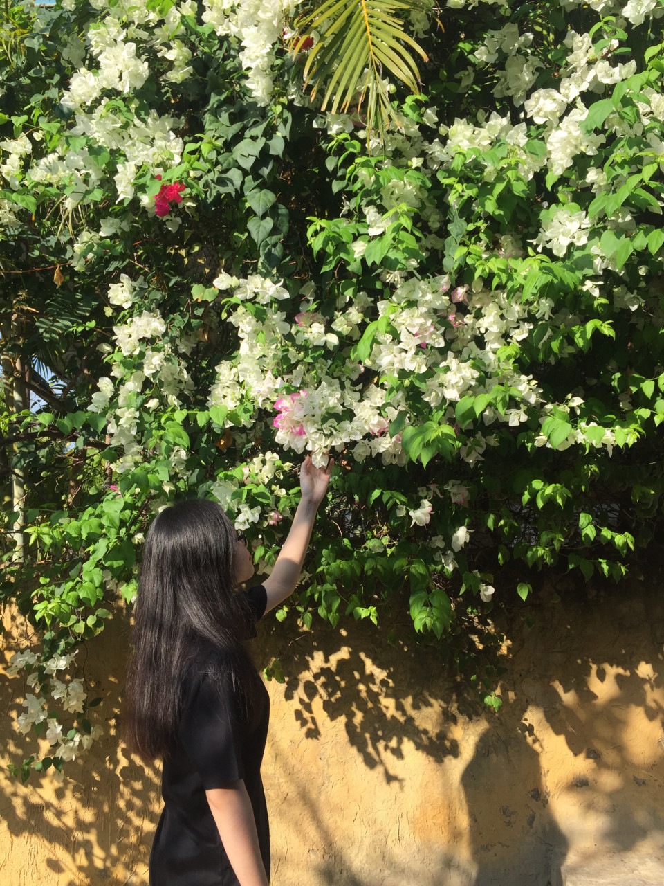 Avatar user Châu Đình Kỳ Nhi