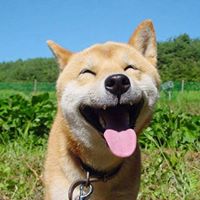 Avatar user Lê Nguyễn Hà Trang