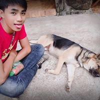 Avatar user Nguyễn Anh Việt