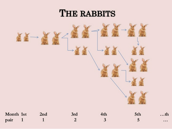 fibonacci-rabbits