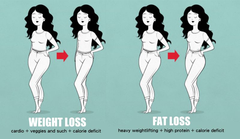 Weight-Loss-And-Fat-Loss