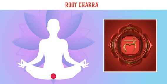 root_Chakra