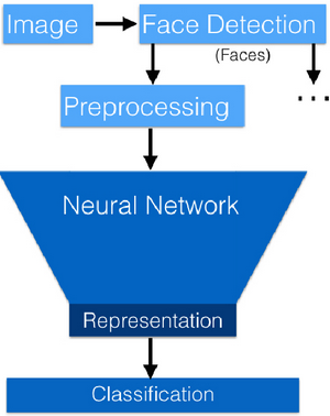 classification