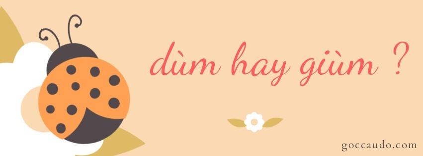 dum-hay-gium