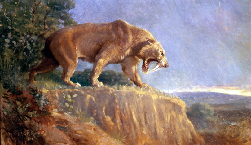 Káº¿t quáº£ hÃ¬nh áº£nh cho smilodon