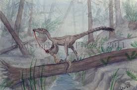 Káº¿t quáº£ hÃ¬nh áº£nh cho troodon dinosaur