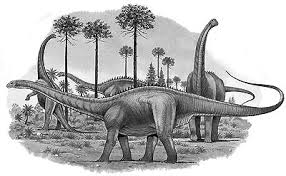 Káº¿t quáº£ hÃ¬nh áº£nh cho apatosaurus