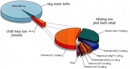 Thành phần của nước biển