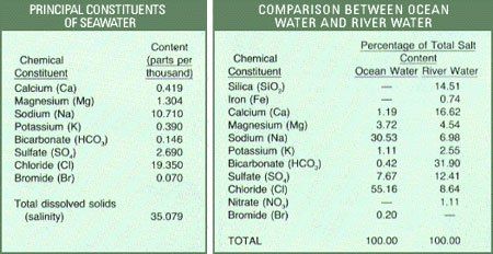 Kết quả thành phần của 77 mẫu nước biển