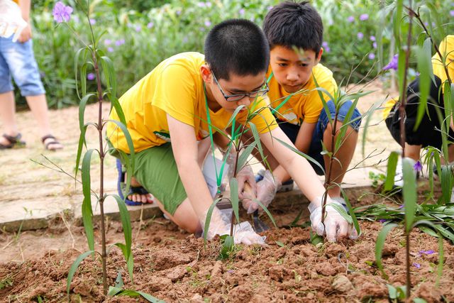 Vai trò của gia đình trong việc hình thành nhân cách của trẻ - 1