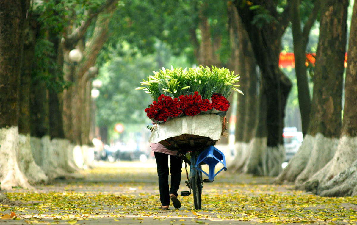 ha-noi-mua-thu-transviet01