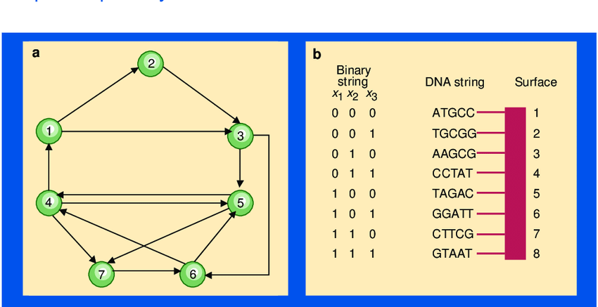 The-parallel-power-of-DNA-computing-a-An-example-of-the-Hamilton-path-problem-solved-by