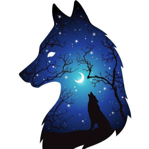 Avatar user Sói Cô Độc