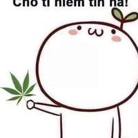 Avatar user Mò Mẫm