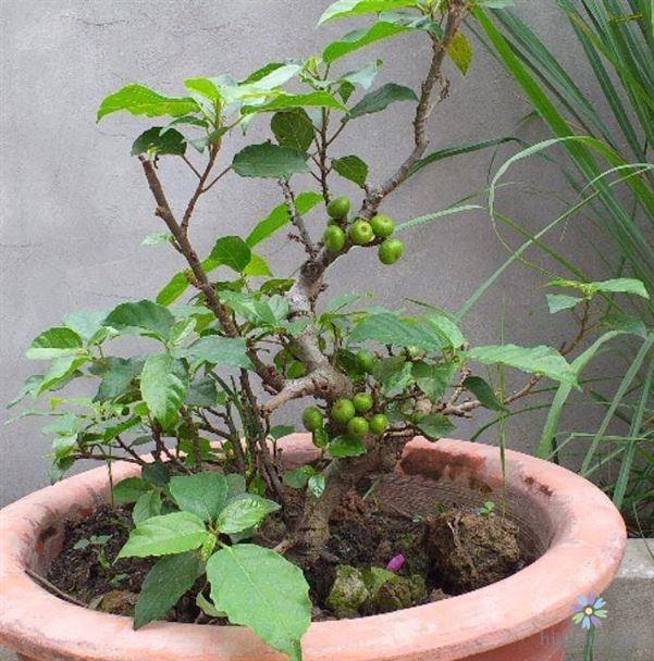 https://cdn.noron.vn/2021/06/06/1561201914199790-1622945337.jpg