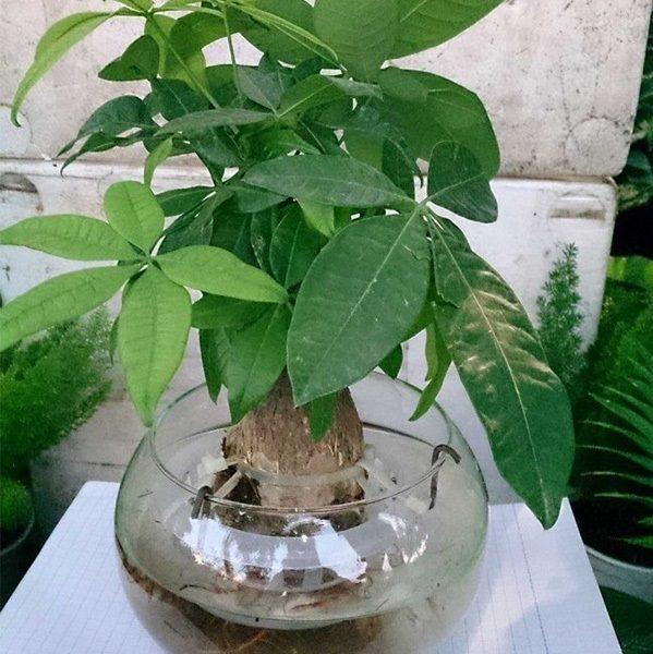 https://cdn.noron.vn/2021/06/06/88028271795418270-1622944656.jpg
