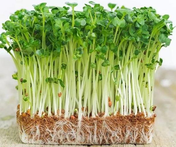 https://cdn.noron.vn/2021/06/06/88028271795418276-1622945108.jpg