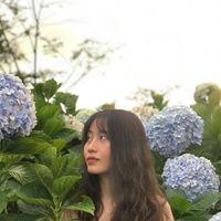Avatar user Nhi Nhi