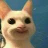 Avatar user Ánh Vân Ngô