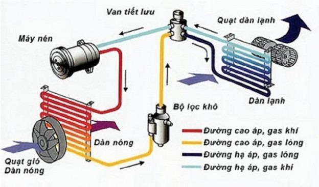 https://cdn.noron.vn/2021/06/22/8959107889244622-1624351976.jpg