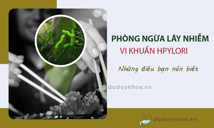 https://cdn.noron.vn/2021/07/06/vi-khuan-hp-1625561220.jpg