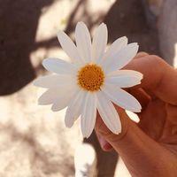 Avatar user An Yên