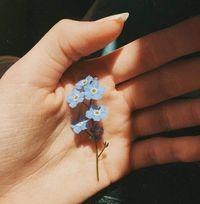 Avatar user Hồng Nhung