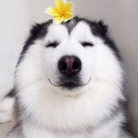 Avatar user Trần Nhi