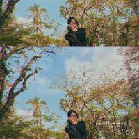 Avatar user Dương Tú Linh
