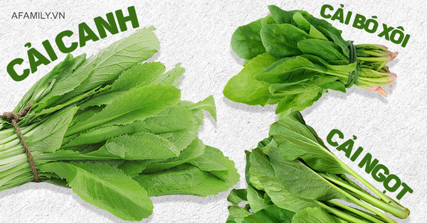 Các loại RAU CẢI, làng trồng rau cải