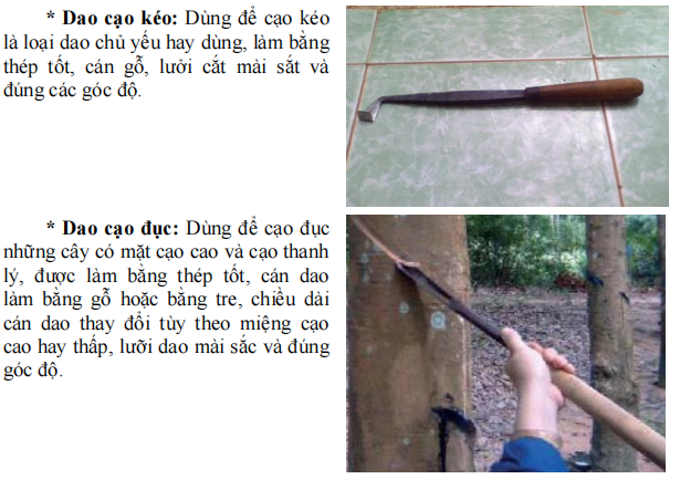 https://cdn.noron.vn/2021/08/08/871321915916758747-1628388887.png