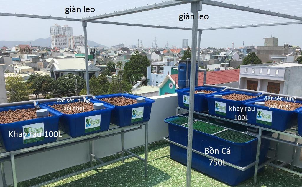 https://cdn.noron.vn/2021/08/22/bon-ca-bon-rau-dat-set-nung-gian-leo-he-aquaponics-1629623357.jpg