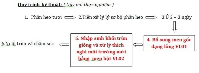 https://cdn.noron.vn/2021/09/09/4098283701556431-1631158549.jpg