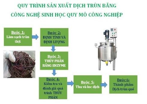 Cập nhật với hơn 71 về mô hình nuôi trùn chỉ sinh khối mới nhất  Tin học  Đông Hòa