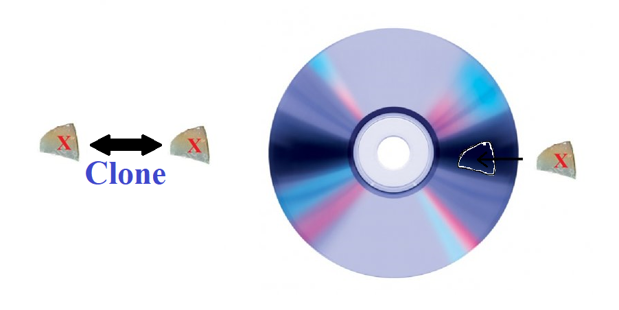 https://cdn.noron.vn/2021/10/20/6752616316515019-1634703408.png
