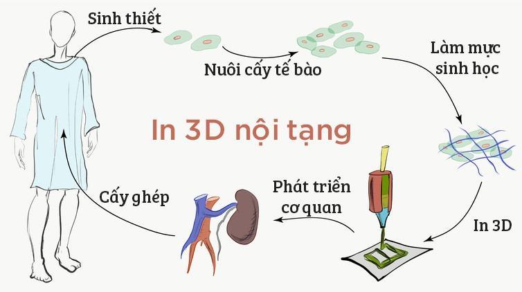 https://cdn.noron.vn/2021/10/26/25088116083087-1635218089.jpg