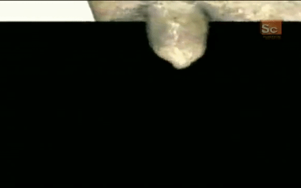 https://cdn.noron.vn/2021/10/27/25088116083825-1635320892.gif