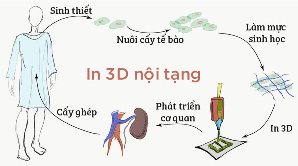 https://cdn.noron.vn/2021/10/27/8fce6d90361b11ecb87417e6228dfe23-1635319903_1024.jpg