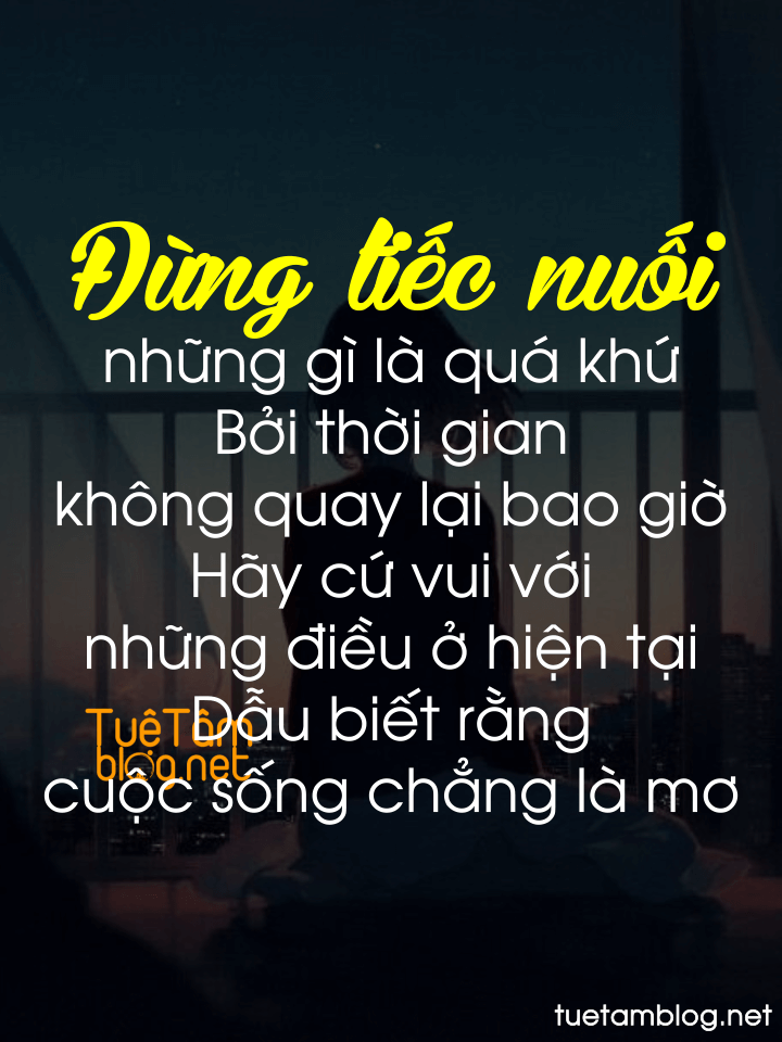 https://cdn.noron.vn/2021/11/04/2508818158183-1636026545.png