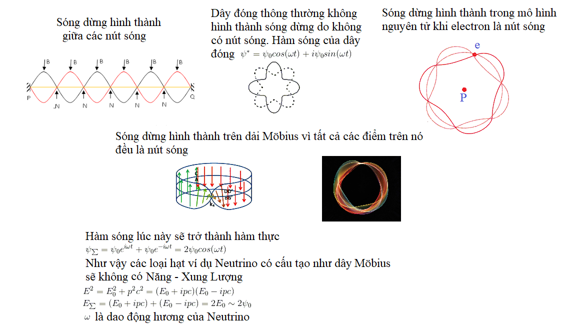 https://cdn.noron.vn/2021/12/01/4714169633631518-1638338143.png
