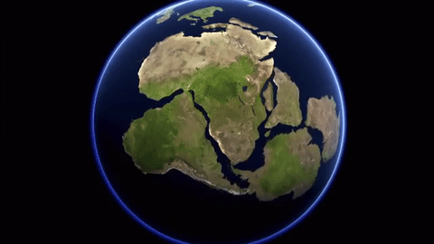 https://cdn.noron.vn/2021/12/10/4506202503966839-1639110768.gif