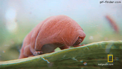 https://cdn.noron.vn/2021/12/15/4506318815686690-1639532488.gif