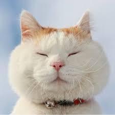 https://cdn.noron.vn/2022/01/09/859551821416181440-1641730000_1024.jpg