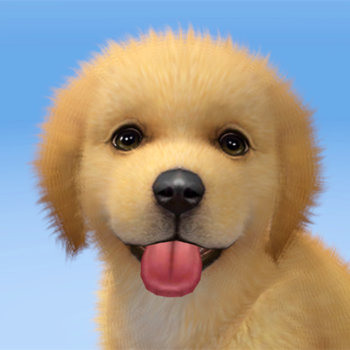 Avatar user Đức Đông