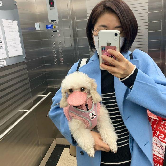 Avatar user Khanh Ngan
