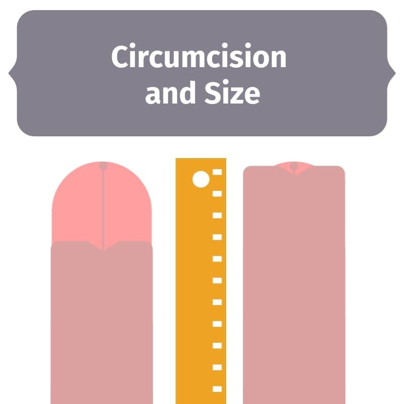 https://cdn.noron.vn/2022/04/10/circumcision-and-penis-size-1649583804.jpg
