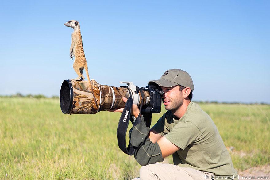 https://cdn.noron.vn/2022/06/30/animals-with-camera-helping-photographers-2880-1656560993.jpg