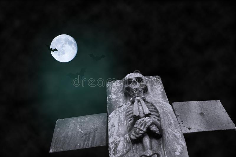 https://cdn.noron.vn/2023/01/06/237071713827292-1673002650.jpg