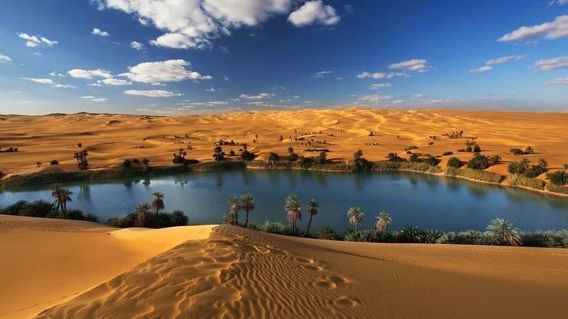 https://cdn.noron.vn/2023/01/13/sahara-1-1673592814.jpg