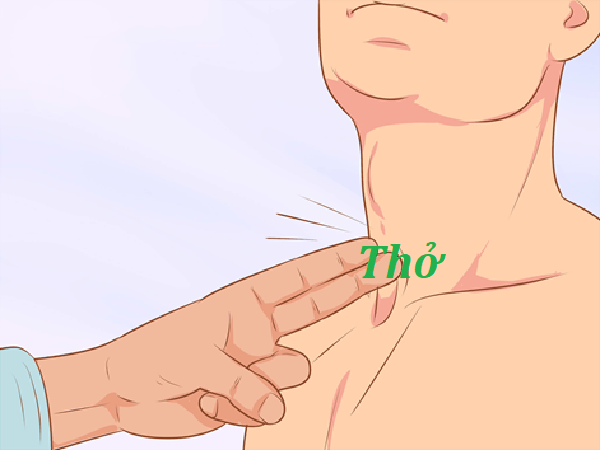 https://cdn.noron.vn/2023/02/04/2333179934194904-1675475796.png